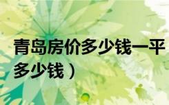 青岛房价多少钱一平（青岛一室一厅的房子要多少钱）