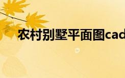 农村别墅平面图cad（农村别墅平面图）
