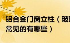 铝合金门窗立柱（玻璃幕墙铝合金立柱的规格常见的有哪些）