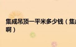 集成吊顶一平米多少钱（集成吊顶一般的大概多少钱一平方啊）