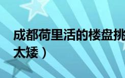 成都荷里活的楼盘挑高4.9米（弄跃层是不是太矮）