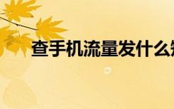 查手机流量发什么短信（查手机流量）