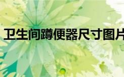 卫生间蹲便器尺寸图片（卫生间蹲便器尺寸）