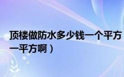 顶楼做防水多少钱一个平方（谁知道楼顶做防水大约多少钱一平方啊）