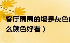 客厅周围的墙是灰色的（请问电视背景墙配什么颜色好看）