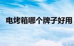 电烤箱哪个牌子好用（电烤箱哪个牌子好）