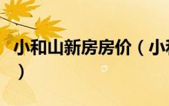 小和山新房房价（小和山的二手房房价怎么样）