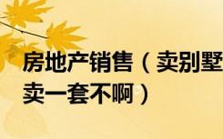 房地产销售（卖别墅的 工作好干吗 一个月能卖一套不啊）