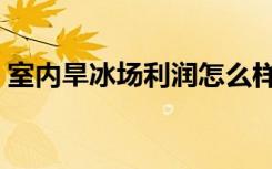 室内旱冰场利润怎么样（室内旱冰场设计图）