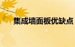 集成墙面板优缺点（集成墙面的缺点）