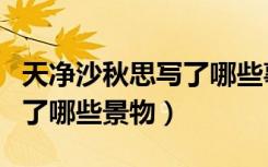 天净沙秋思写了哪些事物（《天净沙秋思》写了哪些景物）