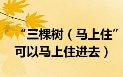 “三棵树（马上住” 用三棵树涂料刷墙真的可以马上住进去）