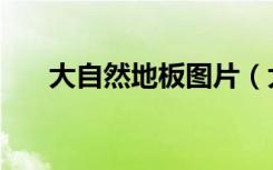 大自然地板图片（大自然地板怎么样）