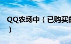 QQ农场中（已购买的装饰在哪里查看及装扮）