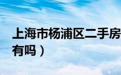 上海市杨浦区二手房2室一厅房子（便宜点的有吗）