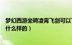 梦幻西游坐骑凌霄飞剑可以飞吗（梦幻西游凌霄飞剑的装饰什么样的）