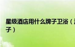 星级酒店用什么牌子卫浴（酒店卫浴工程一般是用的什么牌子）