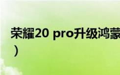 荣耀20 pro升级鸿蒙系统方法（荣耀 20 pro）