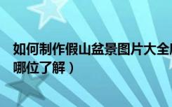 如何制作假山盆景图片大全欣赏（水泥制作假山盆景的方法哪位了解）