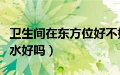 卫生间在东方位好不好（卫生间位于东南方风水好吗）