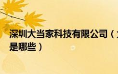 深圳大当家科技有限公司（大当家网络有限公司的主要产品是哪些）