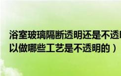 浴室玻璃隔断透明还是不透明好看（卫生间淋浴隔断玻璃可以做哪些工艺是不透明的）