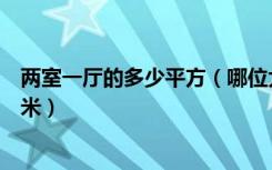 两室一厅的多少平方（哪位大神清楚两室一厅大概多少平方米）