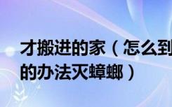 才搬进的家（怎么到处都是蟑螂啊 有什么好的办法灭蟑螂）