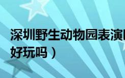 深圳野生动物园表演时间表（深圳野生动物园好玩吗）