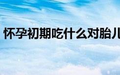 怀孕初期吃什么对胎儿好（怀孕初期吃什么）