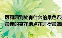 颐和园到处有什么的景色希望你有机会去什么游赏（颐和园最佳的赏花地点花开得最盛的几处景点）