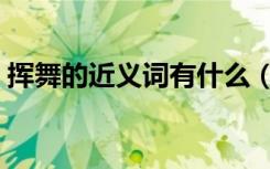 挥舞的近义词有什么（挥舞的近义词是什么）