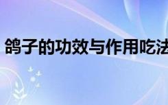 鸽子的功效与作用吃法（鸽子的功效与作用）