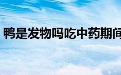 鸭是发物吗吃中药期间能吃吗（鸭是发物吗）
