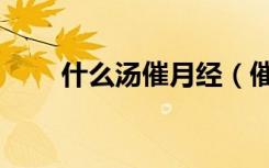 什么汤催月经（催月经汤当天见效）