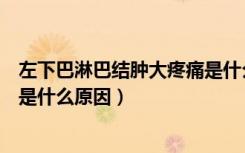 左下巴淋巴结肿大疼痛是什么原因（左下巴淋巴结肿大疼痛是什么原因）