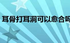耳骨打耳洞可以愈合吗（耳骨打耳洞的危害）