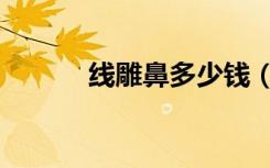 线雕鼻多少钱（线雕鼻的危害）