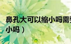 鼻孔大可以缩小吗需要多少钱（鼻孔大可以缩小吗）