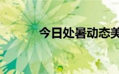 今日处暑动态美图（今日处暑）