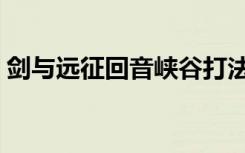 剑与远征回音峡谷打法（剑与远征回音峡谷）