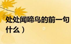 处处闻啼鸟的前一句（处处闻啼鸟的前一句是什么）