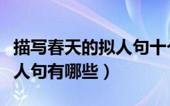 描写春天的拟人句十个字以下（描写春天的拟人句有哪些）