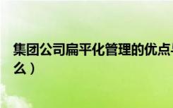 集团公司扁平化管理的优点与缺点（扁平化管理的缺点是什么）