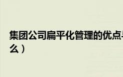 集团公司扁平化管理的优点与缺点（扁平化管理的缺点是什么）