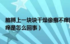 胳膊上一块块干燥像癣不痒图片（胳膊上一块块干燥像癣不痒是怎么回事）