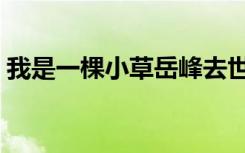 我是一棵小草岳峰去世（我是一棵小草下载）