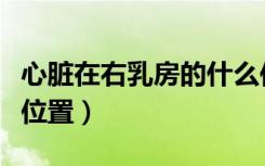 心脏在右乳房的什么位置（心脏在左乳头什么位置）