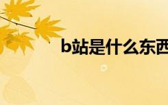 b站是什么东西（b站是什么）