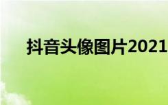 抖音头像图片2021最火爆（抖音头像）